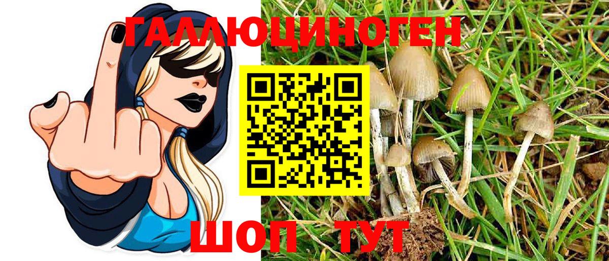 Псилоцибиновые грибы Magic Shrooms Черкесск